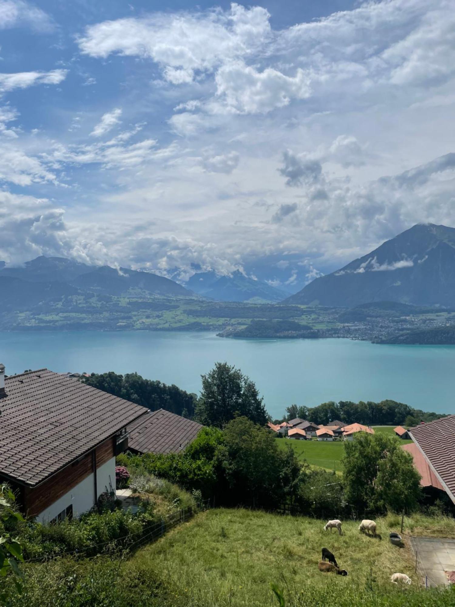 Seeblick Aeschlen Luaran gambar